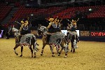 Quadrille - 00826